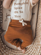Load image into Gallery viewer, Pumpkin Spice

